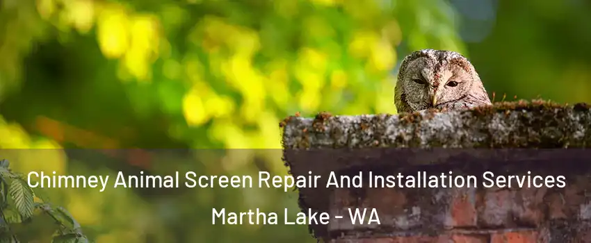  Chimney Animal Screen Repair And Installation Services Martha Lake - WA