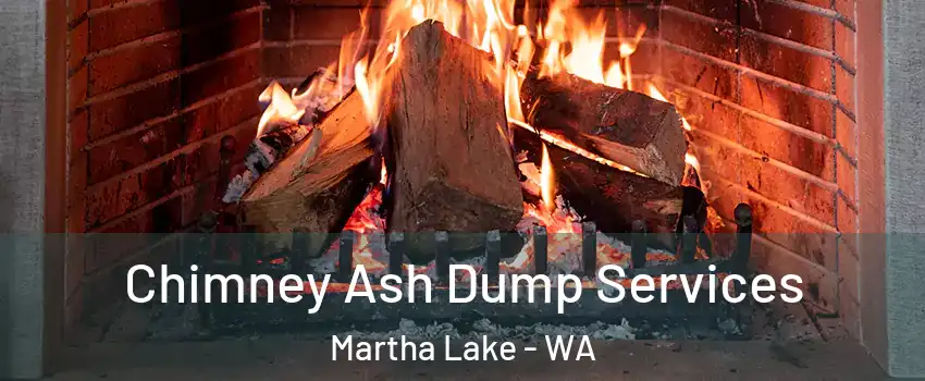  Chimney Ash Dump Services Martha Lake - WA