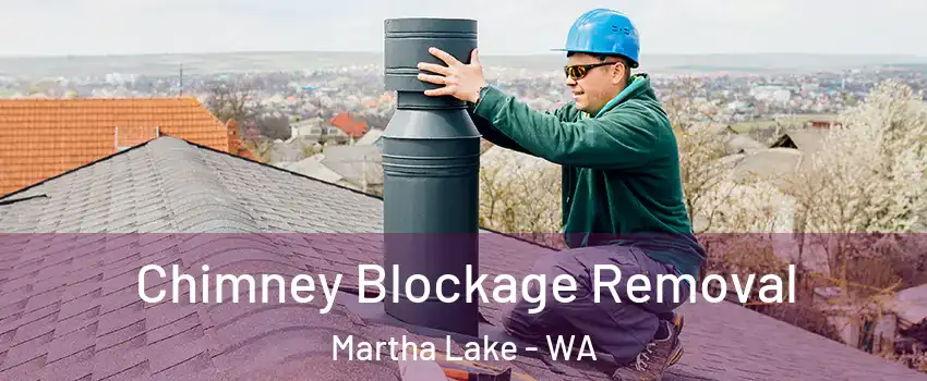  Chimney Blockage Removal Martha Lake - WA