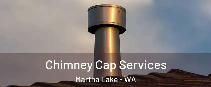  Chimney Cap Services Martha Lake - WA