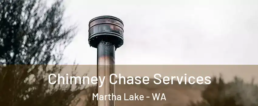  Chimney Chase Services Martha Lake - WA