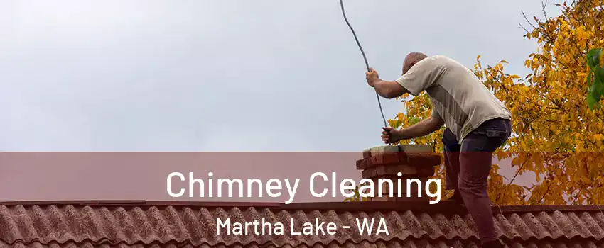  Chimney Cleaning Martha Lake - WA