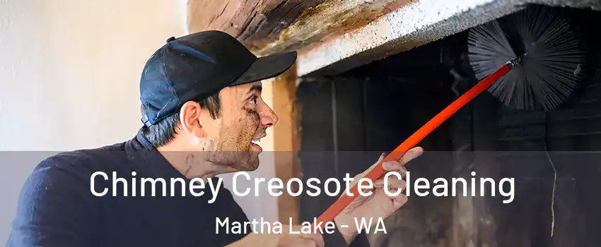  Chimney Creosote Cleaning Martha Lake - WA