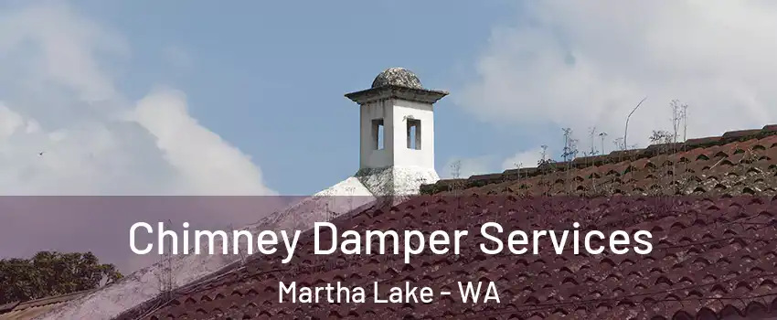  Chimney Damper Services Martha Lake - WA