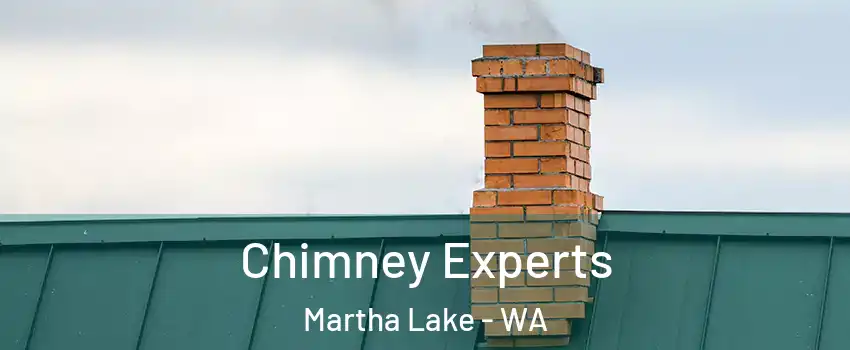  Chimney Experts Martha Lake - WA