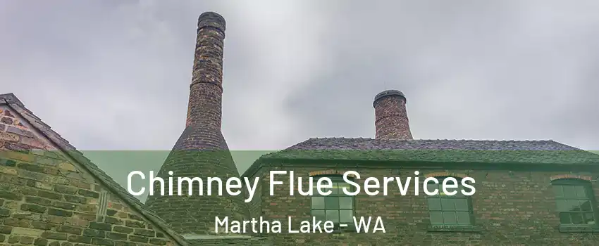  Chimney Flue Services Martha Lake - WA