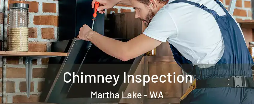  Chimney Inspection Martha Lake - WA