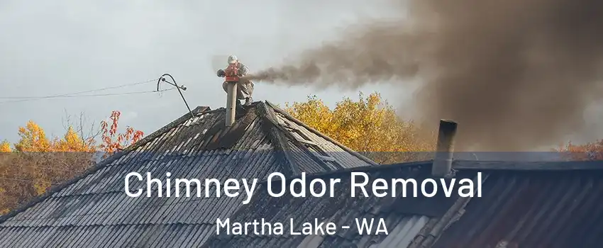  Chimney Odor Removal Martha Lake - WA