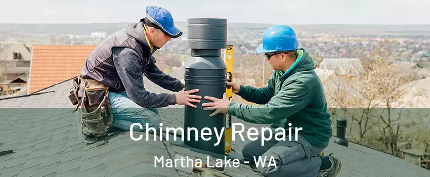  Chimney Repair Martha Lake - WA