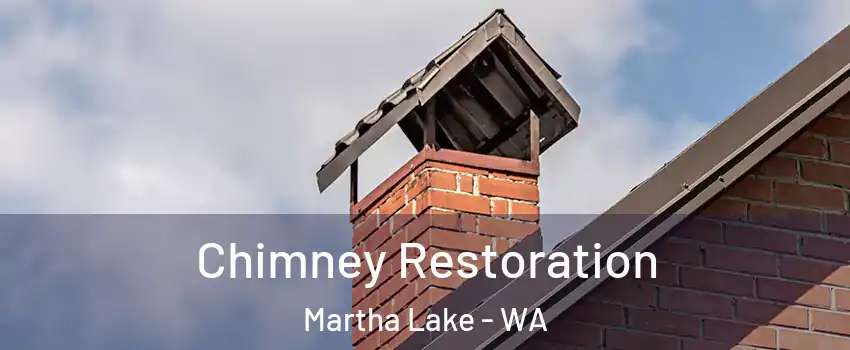  Chimney Restoration Martha Lake - WA