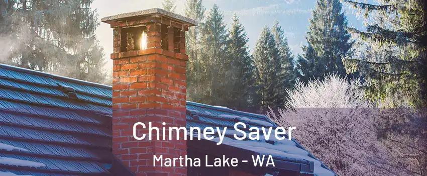  Chimney Saver Martha Lake - WA