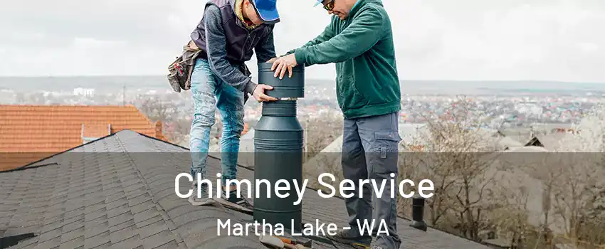  Chimney Service Martha Lake - WA