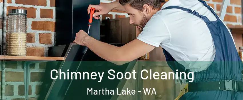  Chimney Soot Cleaning Martha Lake - WA