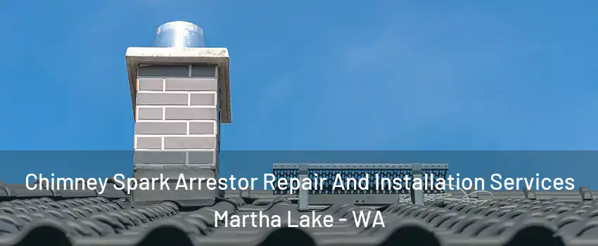  Chimney Spark Arrestor Repair And Installation Services Martha Lake - WA