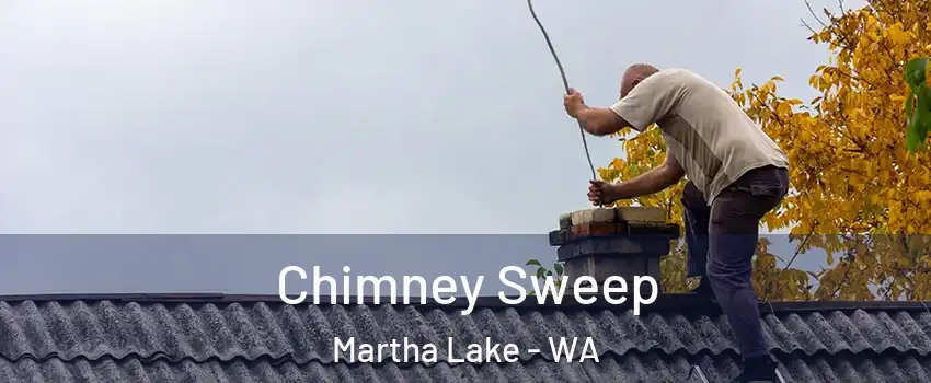  Chimney Sweep Martha Lake - WA