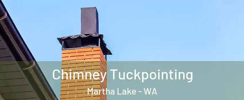  Chimney Tuckpointing Martha Lake - WA