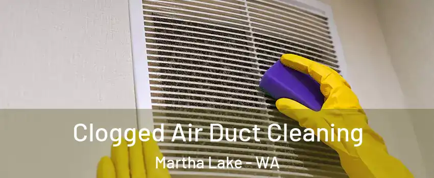  Clogged Air Duct Cleaning Martha Lake - WA