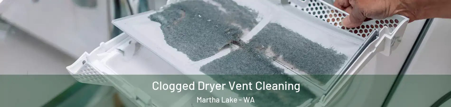  Clogged Dryer Vent Cleaning Martha Lake - WA