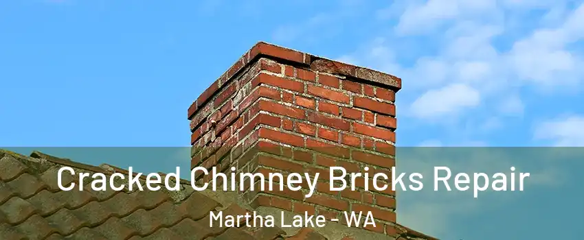  Cracked Chimney Bricks Repair Martha Lake - WA