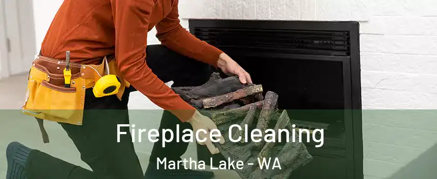  Fireplace Cleaning Martha Lake - WA