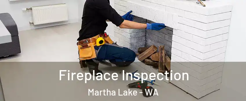  Fireplace Inspection Martha Lake - WA