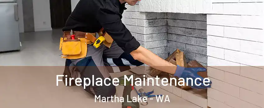  Fireplace Maintenance Martha Lake - WA