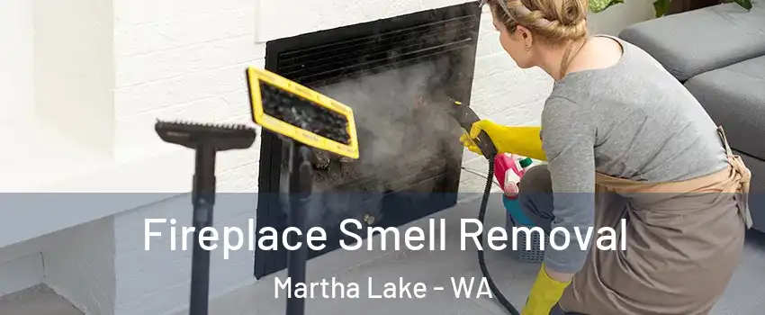  Fireplace Smell Removal Martha Lake - WA