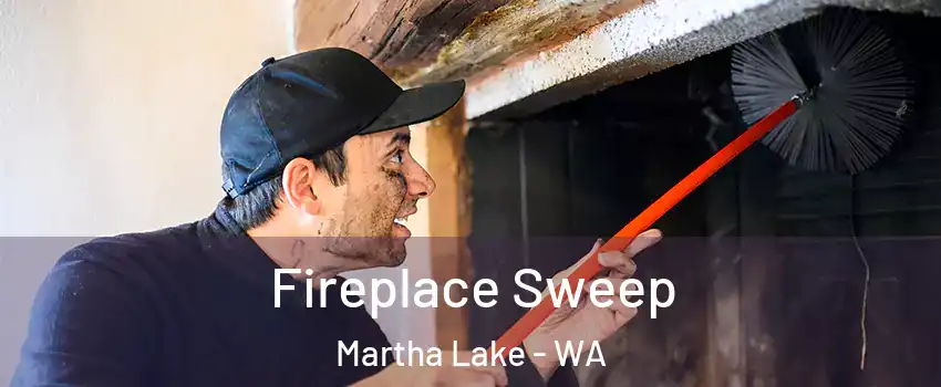  Fireplace Sweep Martha Lake - WA