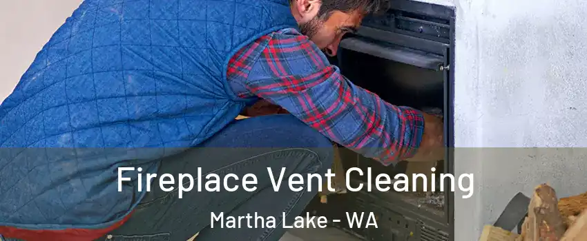  Fireplace Vent Cleaning Martha Lake - WA