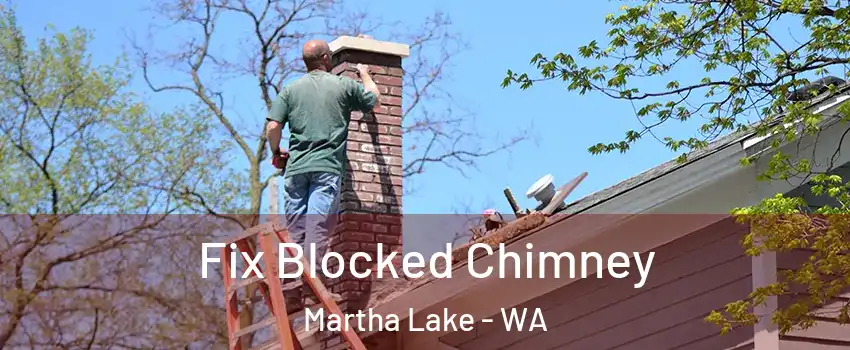  Fix Blocked Chimney Martha Lake - WA