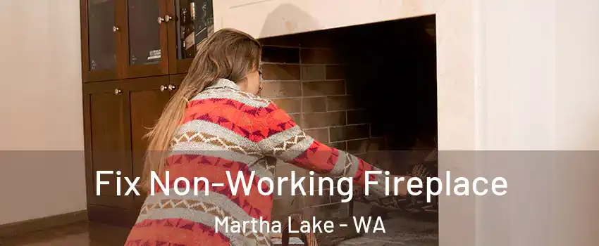  Fix Non-Working Fireplace Martha Lake - WA