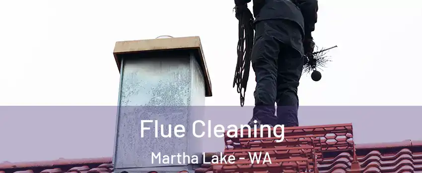  Flue Cleaning Martha Lake - WA
