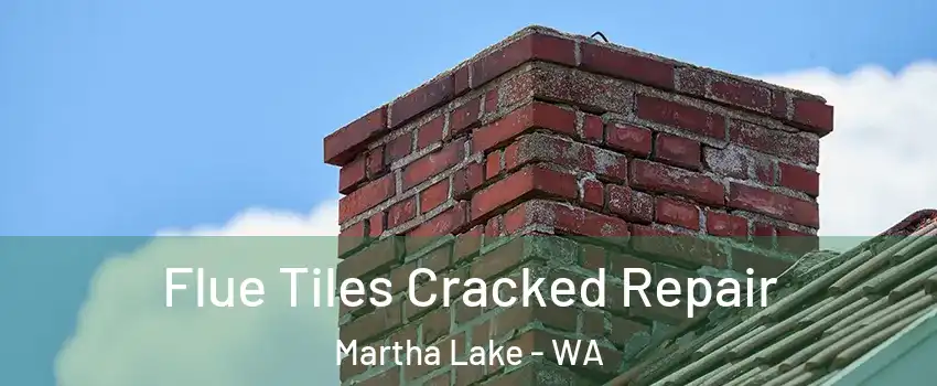  Flue Tiles Cracked Repair Martha Lake - WA