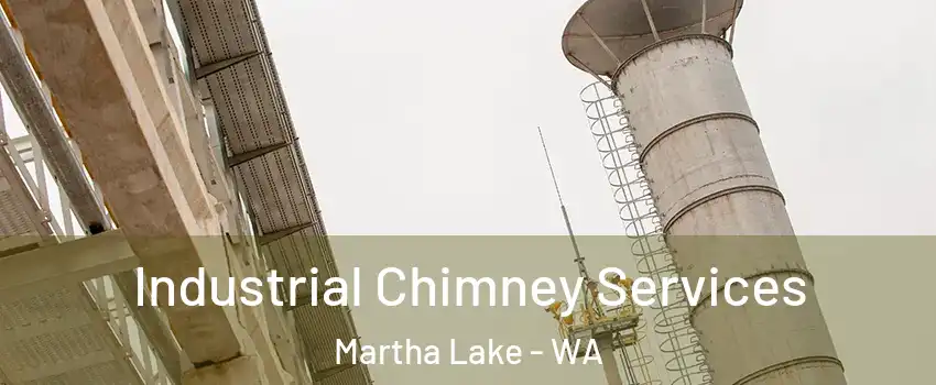  Industrial Chimney Services Martha Lake - WA