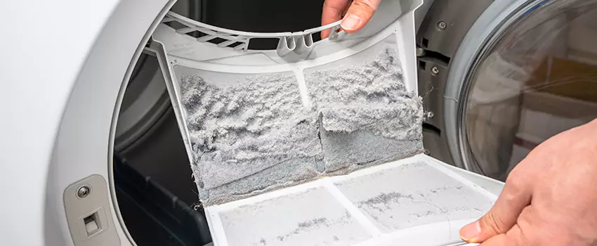 Best Dryer Lint Removal Company in Martha Lake, Washington