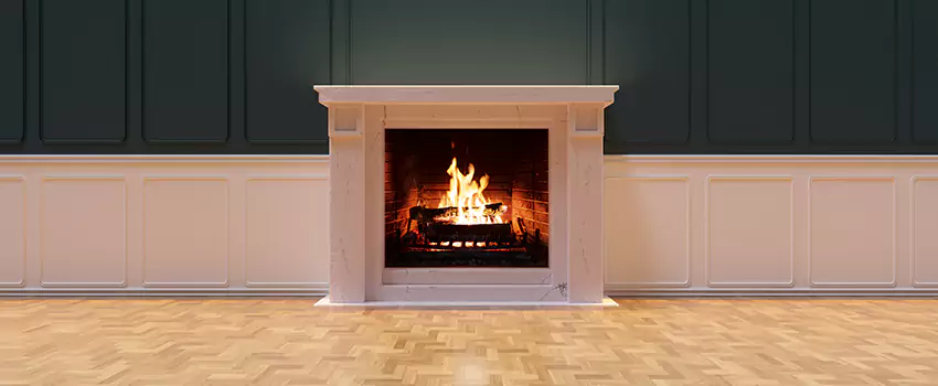 Napoleon Electric Fireplaces Inspection Service in Martha Lake, Washington