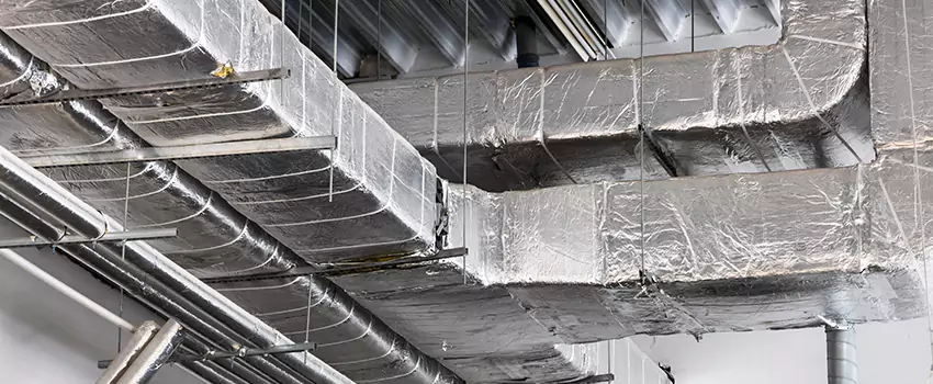 Vent Dust Cleaning Cost in Martha Lake, WA