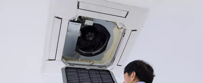 Benefits of Professional Air Duct Cleaning in Martha Lake, Washington