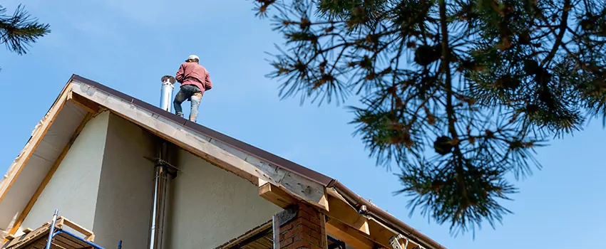 Birds Removal Contractors from Chimney in Martha Lake, WA