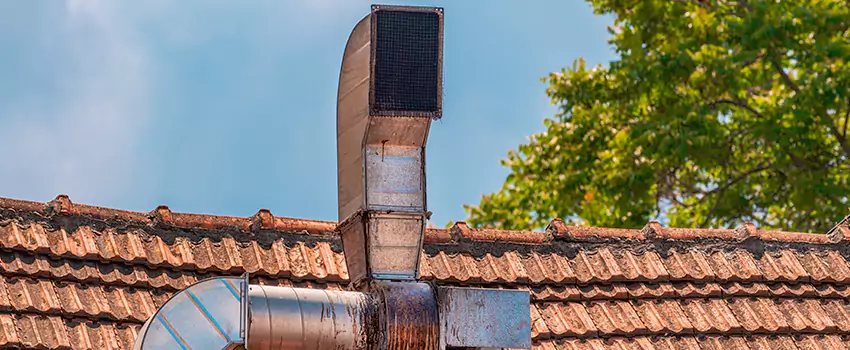 Chimney Blockage Removal in Martha Lake, Washington