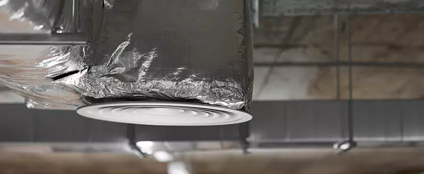 Signs of Dust Accumulation in Vents in Martha Lake, WA