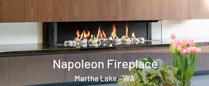  Napoleon Fireplace Martha Lake - WA