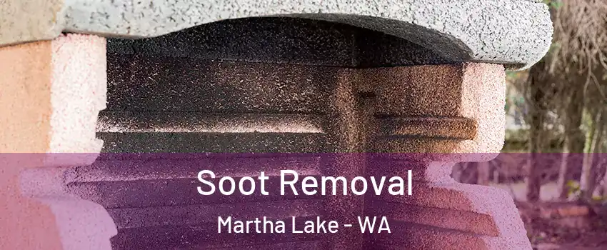  Soot Removal Martha Lake - WA