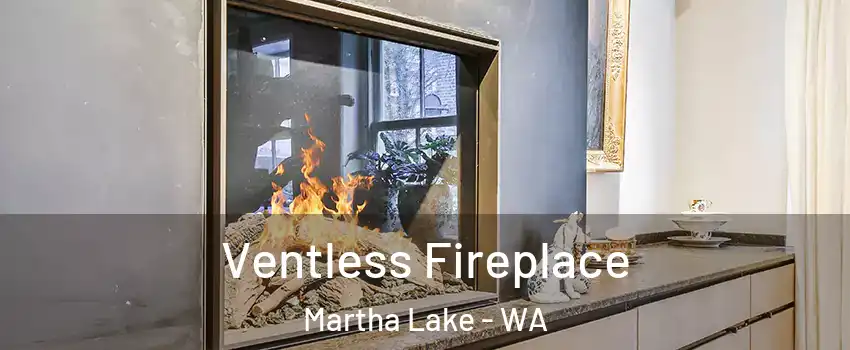 Ventless Fireplace Martha Lake - WA