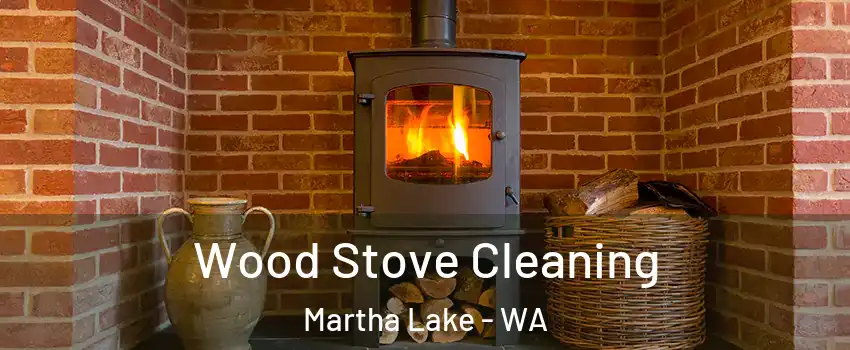  Wood Stove Cleaning Martha Lake - WA